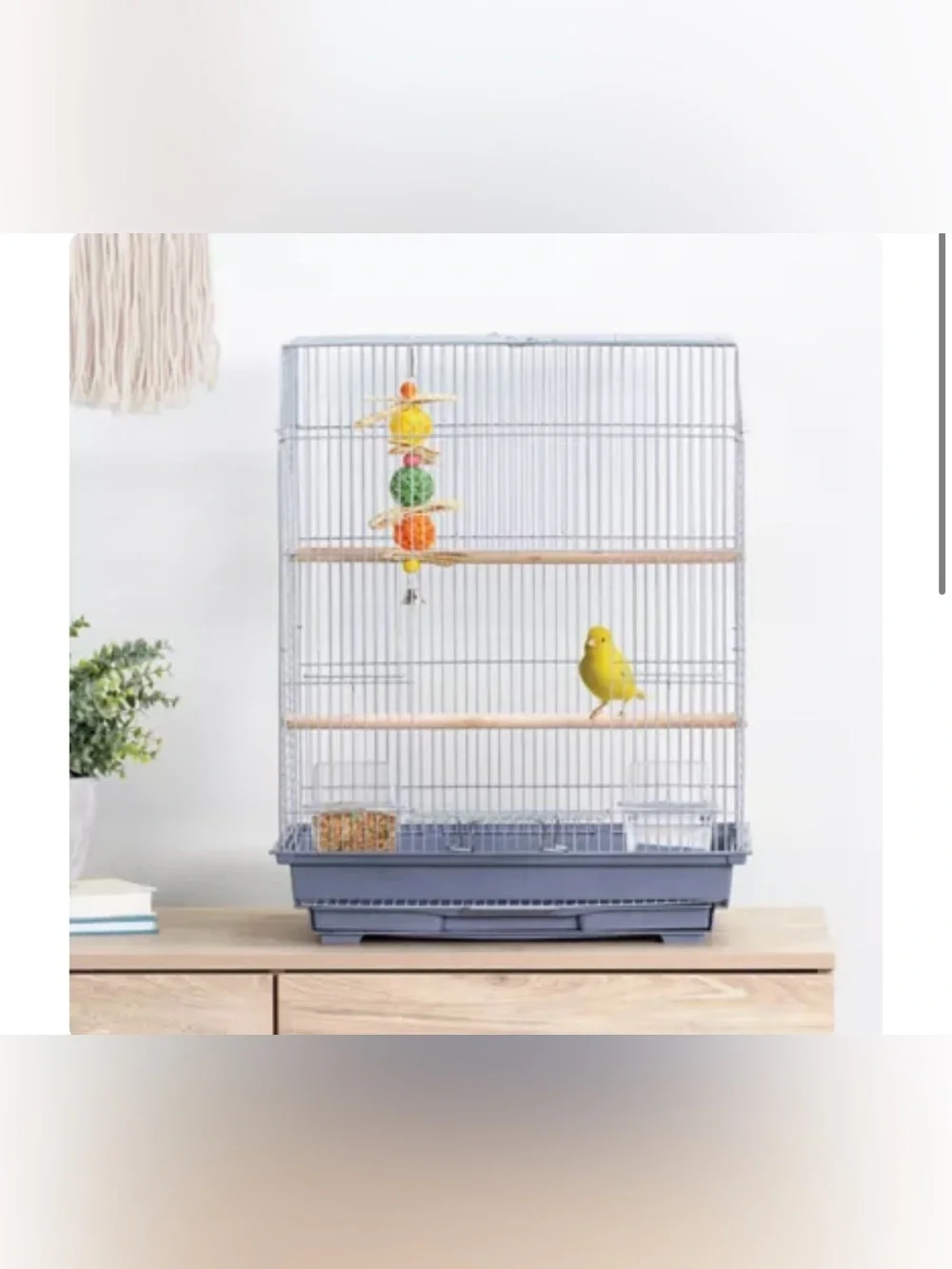 All Living Things® Essential Bird Cage - Silver